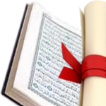 Profile picture of Sara Ammar